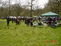 Novice & Open at Orchardleigh 12th April 2015