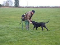 Training and Informal Match at Twigmoor Woods, Scawby on Sunday 8 February 2015