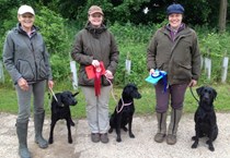 Puppy, Special Puppy, Veteran and Junior Handler Working Tests at Nocton on Sunday 14 June 2015