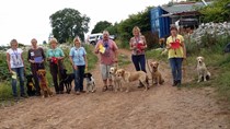 Mendip Fun Day