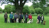 Water Training day at The Auberies, Sudbury, Suffolk - 23rd June 2013