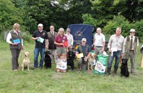 Puppy and Novice tests at Welbeck, Nottinghamshire - 30 June