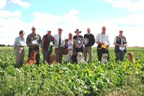 Novice Cold Game Working Test on Sunday 18 August 2013 at Caythorpe 2013