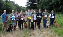 Novice Dog/Novice Handler at Sunninghill Park - 21 August 2016