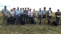 9th July 2017 - Puppy, Novice Dog / Novice Handler, Veteran Working Test Results