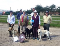 Novice Cold Game Test at Caythorpe on Sunday 13 August 2017