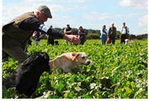 Novice Working Test at Thorganby, Grimsby  - Sunday 3 March 2013