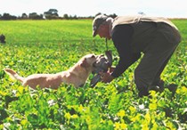 Open Cold Game Working Test at Tumby Woodside on Sunday 22 September 2013