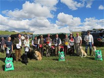 Special Puppy / Novice/ Veteran Working Test - 30th July
