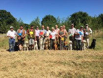 Puppy & Novice Tests 15th July 2018