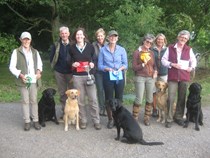 Novice Dog/Novice Handler Test 19th August 2018