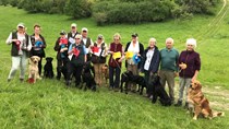 PUPPY,SP PUPPY, ND/ND, YOUNG HANDLER JUNE 2019