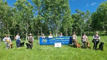 Novice Test at Shepherds Fold Farm, Snowshill