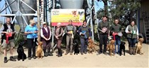 Special Puppy, Puppy, Veteran and Junior Handler at Raithby on Sunday May 15 2022