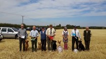 Novice Cold Game Working Test at Caythorpe on Sunday 7 August 2022