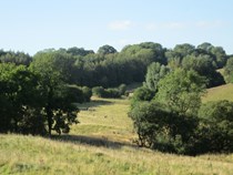 Novice & Open Walked Up Working Test Sunday 31st August 2014 at Ashcroft