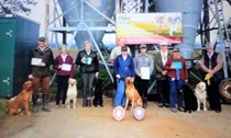 Novice Dog/Novice Handler and Intermediate Tests at Raithby on Saturday April 8th 2023