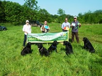 Open Working Test at Mavis Enderby on Sunday, 1 June 2014