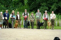 Special Puppy, Puppy, Veteran and Junior Handler Working Tests at Nocton on Sunday 15 June 2014