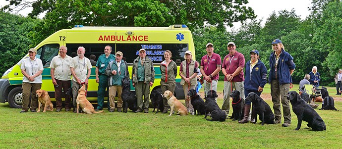 First Aid Support With The Teams