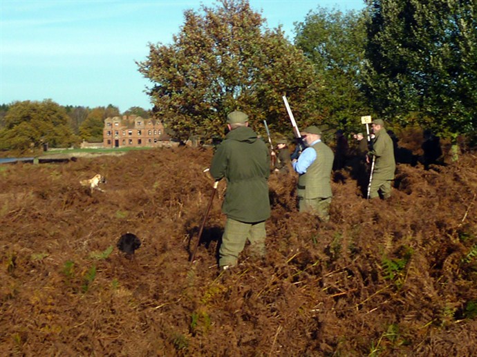 Working In Bracken