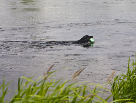 A Hard Swim