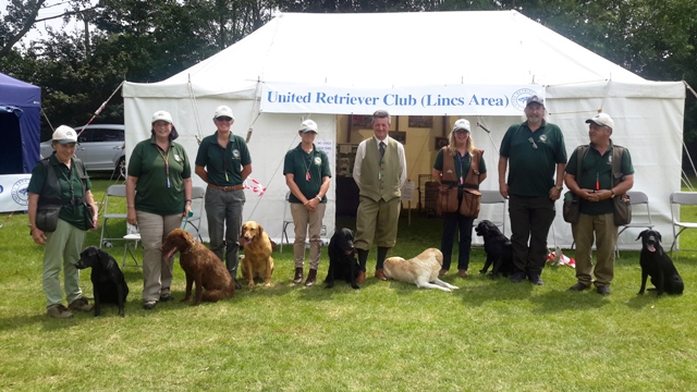 lincsshow17web.jpg