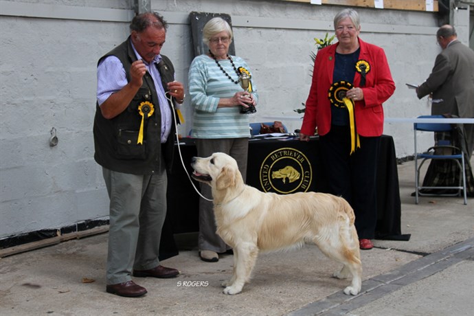 Web Best Puppy In Show