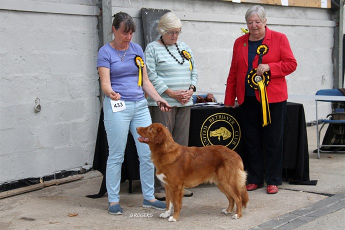 Web Reserve Best Puppy In Show