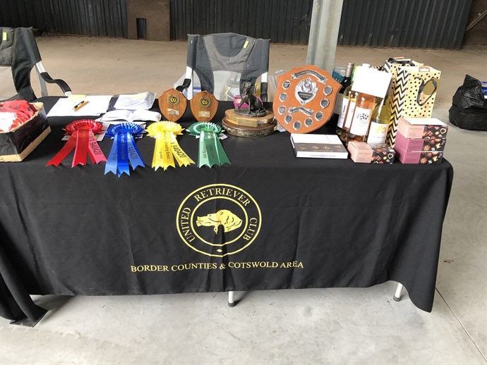 Trophies And Rosettes