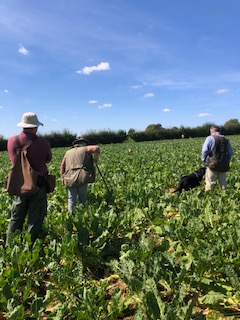 Sugar Beet Training