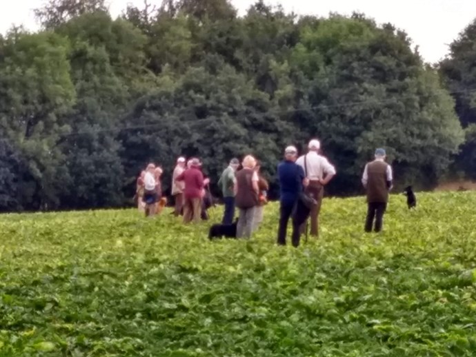 Open Sugar Beet 210822 Walk Up