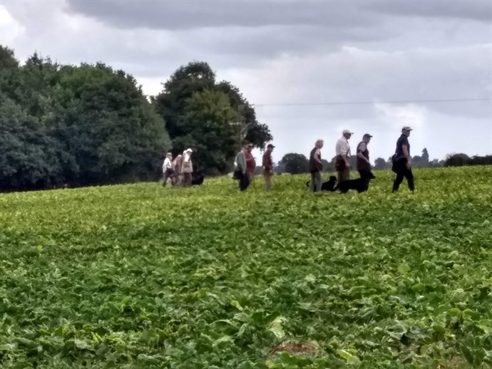 Open Sugar Beet 210822