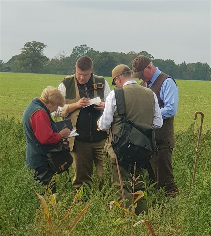 Judges Confering Ws