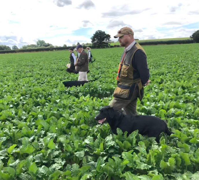 Sugar Beet Training 13823