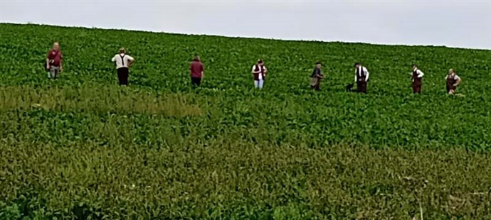 Open Sugar Beet Boxford III 030923